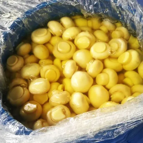 Гъба Cogumelos в SO2