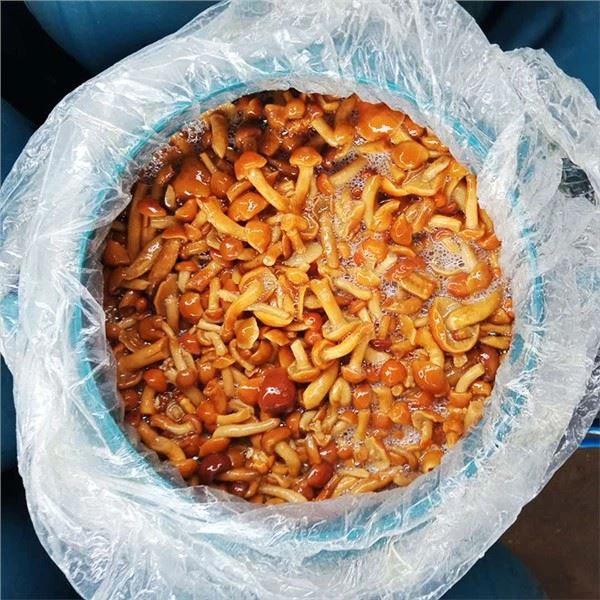 Гъба Шимеджи в саламура