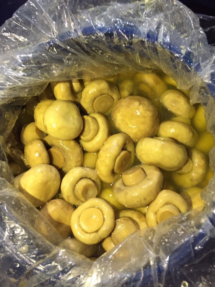 Chinese Preserved Champignon in Barrel
